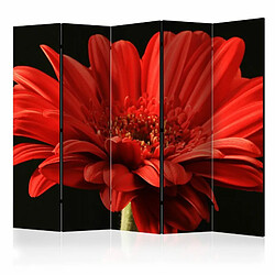 Paris Prix Paravent 5 Volets Red Gerbera Flower 172x225cm