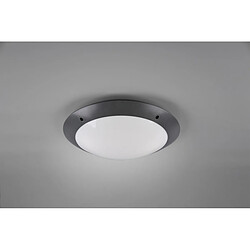 Plafonnier Camaro Moderne à 2 Lumières Anthracite IP54