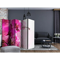 Paris Prix Paravent 5 Volets Pink Orchid 172x225cm