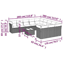 Avis vidaXL Salon de jardin avec coussins 12 pcs beige résine tressée