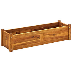 Maison Chic Jardinière,Lit surélevé de jardin - Bac à fleurs - pot de fleur Bois d'acacia 100x30x25 cm -GKD61991