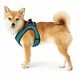 Harnais pour Chien Hunter Hilo-Comfort XS-S Turquoise (37-42 cm)