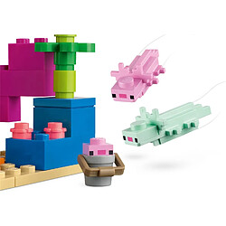 Acheter LEGO Minecraft La maison axolotl