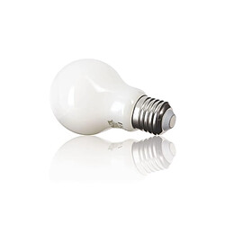 Avis But Lot 2 ampoules LED A60 E27 XANLITE HOME Blanc chaud