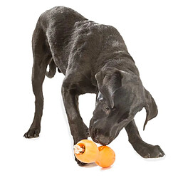 Avis Zogoflex Jouet de puzzle pour chiens Qwizl Taille L Orange 3542