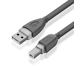 Câble USB-A 2.0 vers USB-B 2.0 Transfert Rapide Connexion Stable LinQ 3m Gris