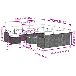 Acheter vidaXL Salon de jardin avec coussins 13 pcs noir résine tressée