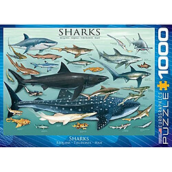 Eurographics Sharks Puzzle 1000 piAces, Bleu 