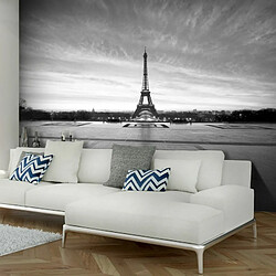 Paris Prix Papier Peint The Iron Lady 270 x 350 cm 