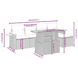 Avis vidaXL Salon de jardin avec coussins 6 pcs beige résine tressée