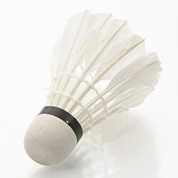 Wewoo Ballon d'entraînement de badminton REGAIL 1004 12 PCS Deather Feather