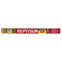 Tube T5 ReptiSun UVB 5.0 FS5-24E pour Terrarium - Zoomed - 24W 