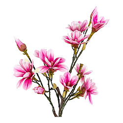 House Nordic Magnolia artificiel 75 cm 