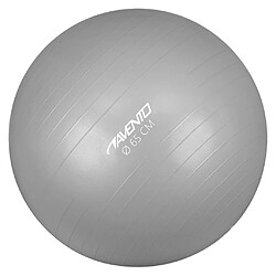 Avento Ballon de fitness/d'exercice Diamètre 65 cm Argenté 