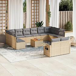 vidaXL Salon de jardin et coussins 13 pcs mélange beige résine tressée 