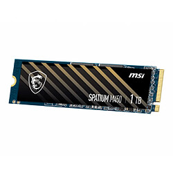 MSI SPATIUM M450 Disque Dur Interne SSD 1To M.2 3600Mo/s Noir pas cher