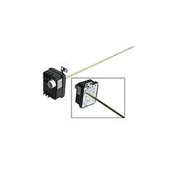 THERMOSTAT TRIPHASE 69101401 PATTE L