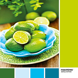 Clementoni- Pantone Collection-Lime Punch-1000 pièces, 39492, Multicolore