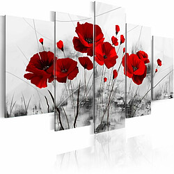 Paris Prix Tableau Imprimé Coquelicots Rouge Miracle 100 x 200 cm 