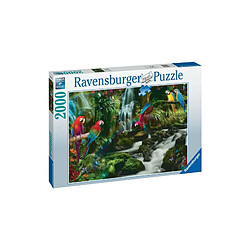 Puzzle 2000 pièces Ravensburger Le paradis des perroquets 