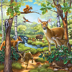 Avis Ravensburger - 09265 - Puzzle Classique - Animaux Sauvages du Zoo / Domestiques - 3X49 Pièces