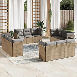 vidaXL Salon de jardin avec coussins 12 pcs beige résine tressée