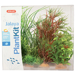 Acheter Tetra Kit de 6 plantes Plantkit Jalaya.