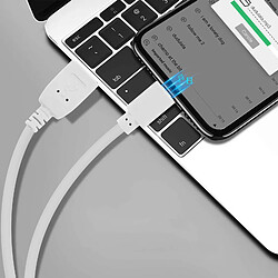 Avis Avizar Câble USB vers iPhone iPad iPod Charge & Synchro Quick Charge 2.0 1,2m - Blanc