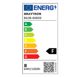 Acheter Ampoule A60 filament dimmable LED E27 7W 3000K Braytron