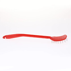 Acheter Brosse pour perroquet oiseau