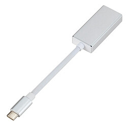 Wewoo Convertisseur USB-C / Type-C 3.1 Mâle à Mini DP Femelle HDLongueur 12cm Argent