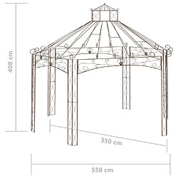 vidaXL Pavillon de jardin Marron antique 558x350x408 cm Fer pas cher