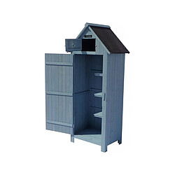 Avis Habitat Et Jardin Armoire de jardin Cabanon - 77 x 54.5 x 179 cm - Bleu ciel