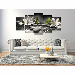 Paris Prix Tableau 5 Panneaux Lilies & Stones Wide Grey 100 x 200 cm