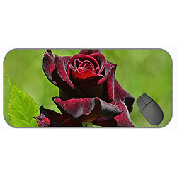 Universal (750x300x3) xxl Taft de souris de grande taille, souris en caoutchouc rose violet non glissant