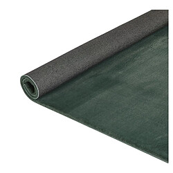 Avis Linea Natura Tapis 160x230 cm FUZZY Vert