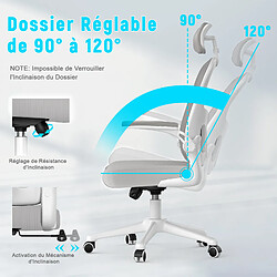 BIGZZIA Chaise de Bureau - Ergonomique Siège-Fauteuil avec 2D Accoudoirs, Hauteur Appui-tête Soutien Lombaire Dossier Règalable Gris