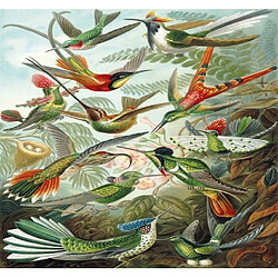 Puzzles Michele Wilson Les colibris HAECKEL