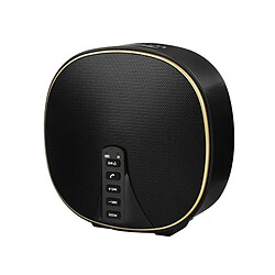 Yonis Enceinte Bluetooth Portable 10W Son Surround Extérieur Enceinte Bluetooth Portable 10W Stéréo 32Go TWS Basses Profondes Outdoor Or YONIS