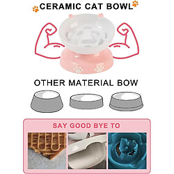 Avis YYHY Y YHY Bol pour Chat à Alimentation Lente en céramique de 120 ML - Rose et Blanc