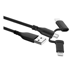 Câble USB vers USB-C et Lightning Ewent EW1376 (1 m) Noir 