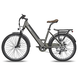 Honey Whale FAFREES F26 Pro 14.5AH Vélo Électrique - Moteur 250W Batterie 36V14.5AH Assisted Autonomie 110KM Frein à Disque Mécanique - Gris