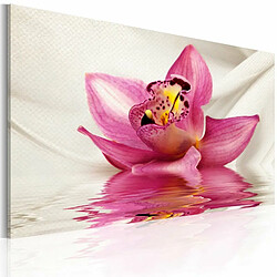 Paris Prix Tableau Imprimé Unusual Orchid 40x60cm