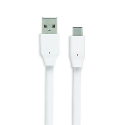 MOOOV Câble USB-C /USB-A plat 3 m - blanc