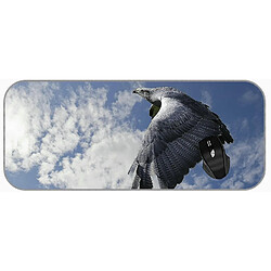 Universal (750x300x3) Tampon de souris de jeu grand xxl Animal Eagle Blue Blue Sky Pads de souris en caoutchouc