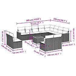 vidaXL Salon de jardin avec coussins 13 pcs noir résine tressée pas cher