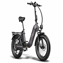 Avis FAFREES FF20 Polar Vélo Électrique - 500W Autonomie 110KM Freins à Disque - Noir