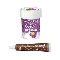 Scrapcooking Colorant alimentaire violet arôme mûre + Stylo chocolat