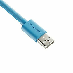 Acheter Câble USB A vers USB-C Newskill Bleu