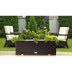 Rattan Art Jardinière en résine tressée avec cadre en aluminium 98 x 25 x 34 cm Anthracite.